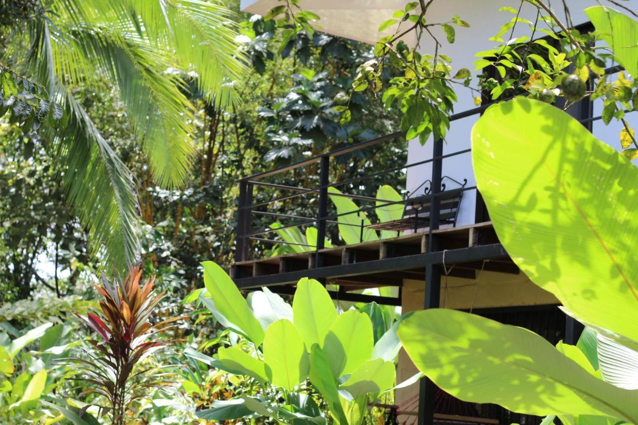 Miah House Villa Puerto Jimenez Bagian luar foto
